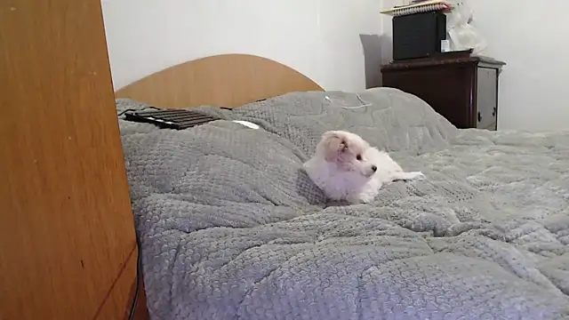 MissyDior8 online show from February 4, 9:59 am