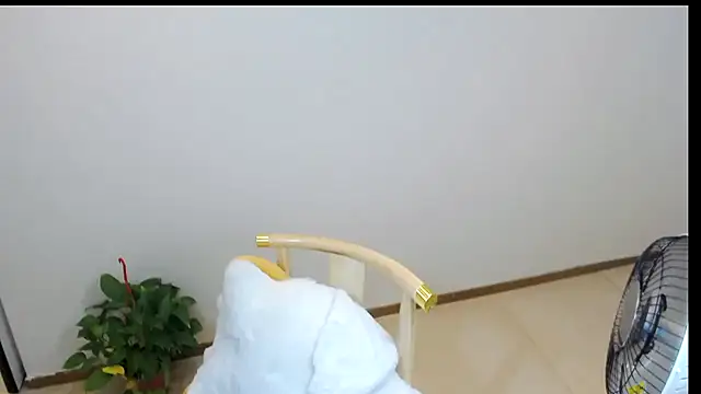 Shaurk online show from February 23, 2:53 am