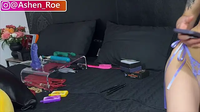 Snapshot of AshenRoe chatting on April 30, 6:20 am AshenRoe online show from April 30, 6:20 am