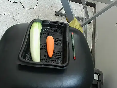 ivana latina online show from December 19, 7:10 pm