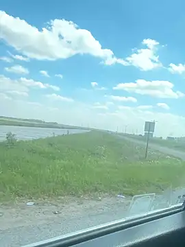 miatate online show from March 21, 8:01 pm