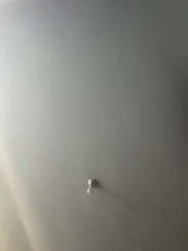 stripboy1b online show from November 13, 7:18 am