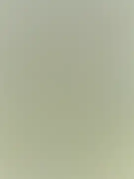 Rouse hot  online show from December 20, 3:24 am