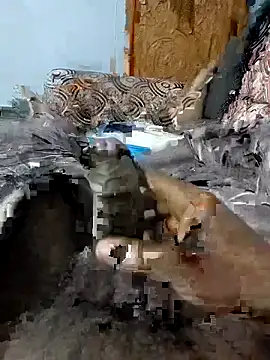 spermc online show from February 6, 4:10 pm