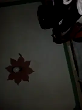 honeypot224 online show from March 15, 3:56 am