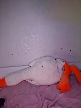 carolinakis  online show from February 20, 7:36 pm