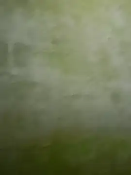 Uplk online show from November 17, 11:49 am