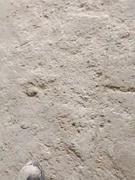 Paugostoso270515 online show from March 24, 4:12 pm