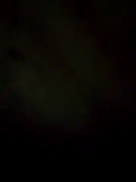 Rogerlima099 online show from March 14, 7:25 am