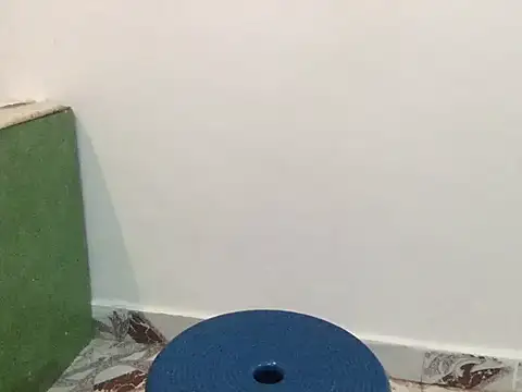 raveena hot online show from March 8, 1:26 pm