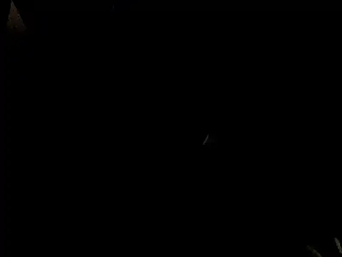 Savannah Cock online show from February 23, 1:03 am