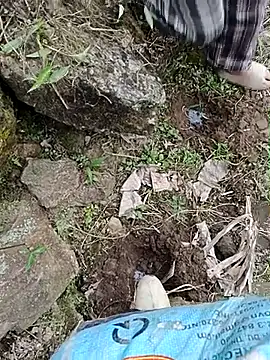 Pampirara online show from March 21, 3:11 am