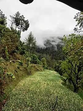 Cute Lucky online show from April 8, 6:57 am