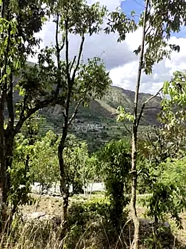 Cute Lucky online show from April 9, 6:19 am