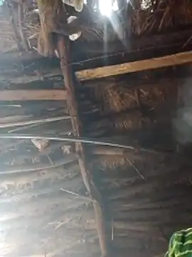 Xxx suhana online show from February 2, 3:49 am