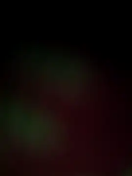 Snapshot of Nandani-758 chatting on December 18, 12:00 pm Nandani-758 online show from December 18, 12:00 pm