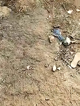 Snapshot of Meow_buggie chatting on January 13, 10:42 am Meow buggie online show from January 13, 10:42 am