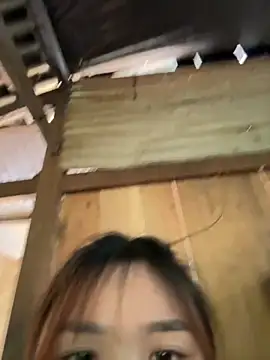 Snapshot of Spring-spring chatting on November 24, 5:40 am Spring-spring online show from November 24, 5:40 am