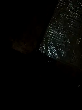 kausbvs online show from February 11, 5:01 am