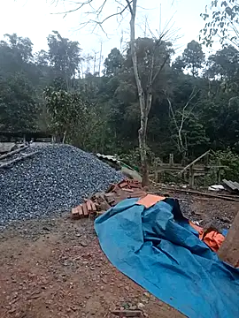 nangmo online show from February 5, 12:26 am