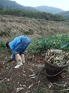 nangmo online show from March 18, 11:13 am