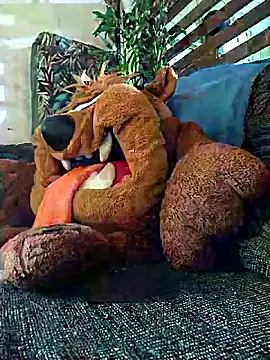 Snapshot of Pirulaibe23 chatting on December 18, 7:20 pm Pirulaibe23 online show from December 18, 7:20 pm