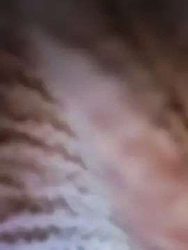 Snapshot of Punam_panjabi chatting on February 28, 7:53 am Punam panjabi online show from February 28, 7:53 am