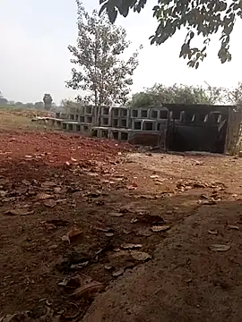 Curvy Vamikaa online show from January 19, 5:00 am