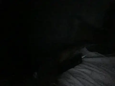 Snapshot of modiji_999 chatting on March 5, 10:39 pm modiji 999 online show from March 5, 10:39 pm