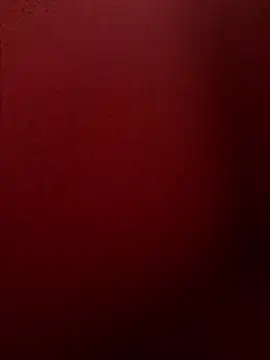 Snapshot of chriss13fc chatting on April 29, 9:02 am chriss13fc online show from April 29, 9:02 am