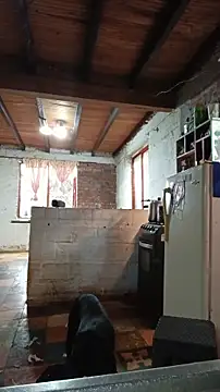 Snapshot of ChanneldelaCroix chatting on February 20, 7:25 pm ChanneldelaCroix online show from February 20, 7:25 pm