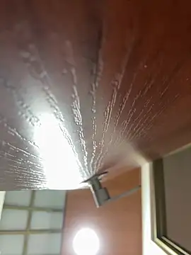 Snapshot of Dafne_se chatting on January 18, 12:36 am Dafne se online show from January 18, 12:36 am