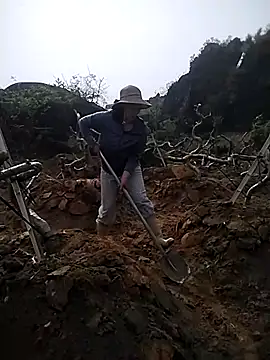 Alibabapi online show from March 26, 2:28 am