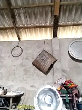 LeoPet2x online show from March 16, 5:44 am