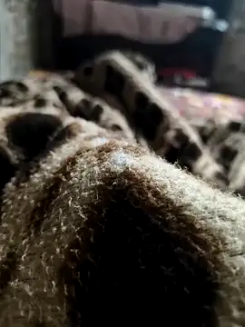 Mahi-Aman online show from December 5, 2:42 am