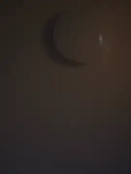 DutchMiracle26 online show from April 28, 11:10 pm