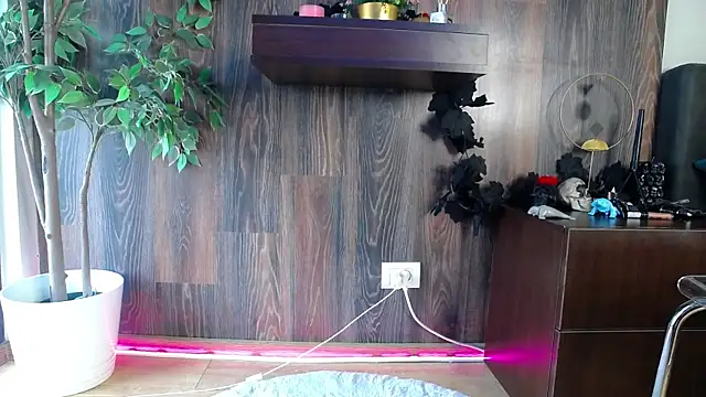 RavenFoxxy online show from February 12, 6:52 am