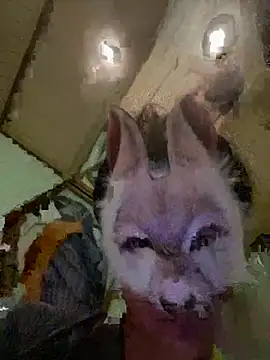 Snapshot of aotaro0721 chatting on February 27, 4:01 am aotaro0721 online show from February 27, 4:01 am