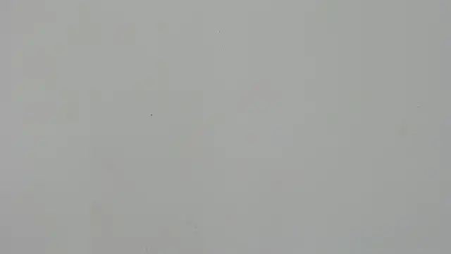 Snapshot of Ladymadinght chatting on February 4, 2:01 pm Ladymadinght online show from February 4, 2:01 pm