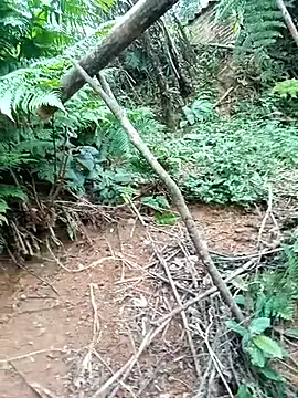 Snapshot of ava-dellght chatting on January 17, 2:38 am ava-dellght online show from January 17, 2:38 am