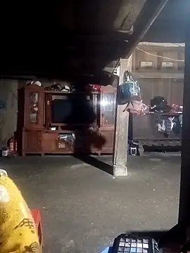 Snapshot of ava-dellght chatting on February 4, 2:28 am ava-dellght online show from February 4, 2:28 am