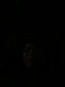 Snapshot of vero-obc chatting on April 26, 12:52 am vero-obc online show from April 26, 12:52 am