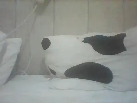 Thand03 online show from May 26, 3:57 am