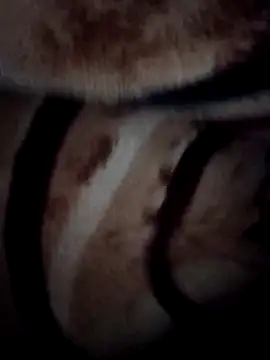 pihuu1313 online show from February 9, 3:21 am