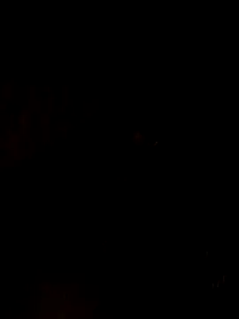 nehakapoor89 online show from December 14, 7:40 pm