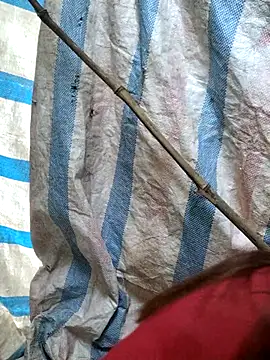 mit0-77 online show from February 15, 12:51 am