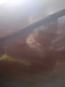 Snapshot of neko-nancy chatting on February 13, 2:24 pm neko-nancy online show from February 13, 2:24 pm