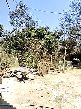 Snapshot of neko-nancy chatting on February 16, 7:04 am neko-nancy online show from February 16, 7:04 am