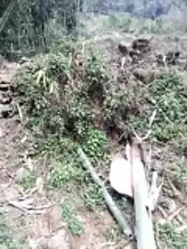 Snapshot of neko-nancy chatting on February 26, 7:07 am neko-nancy online show from February 26, 7:07 am