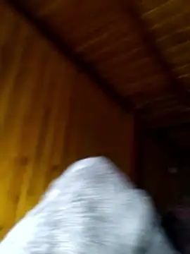 Snapshot of neko-nancy chatting on February 28, 2:29 pm neko-nancy online show from February 28, 2:29 pm